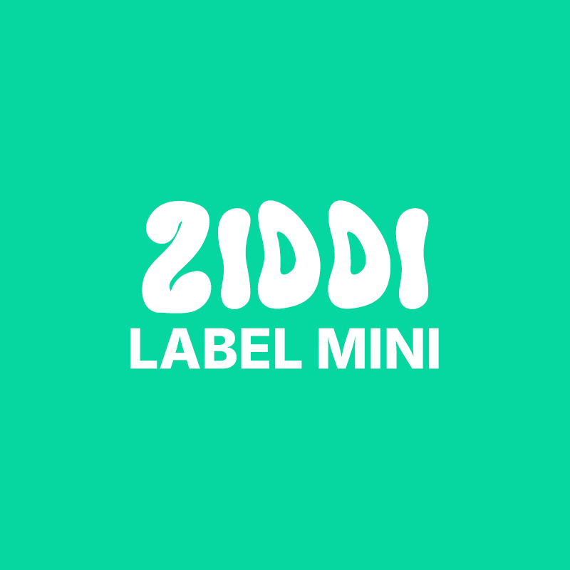 Ziddi label mini plan cover art