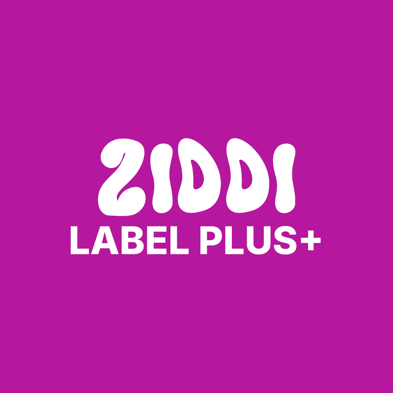 Ziddi label plus plan cover art